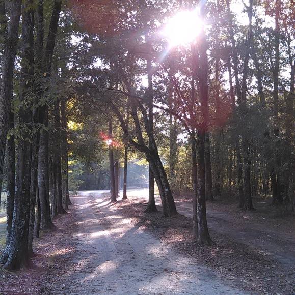 Meet your Posher, Elizabeth - Picture 1 of 1